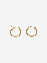 Load image into Gallery viewer, Silver Chic Clasp Earrings - Gold
